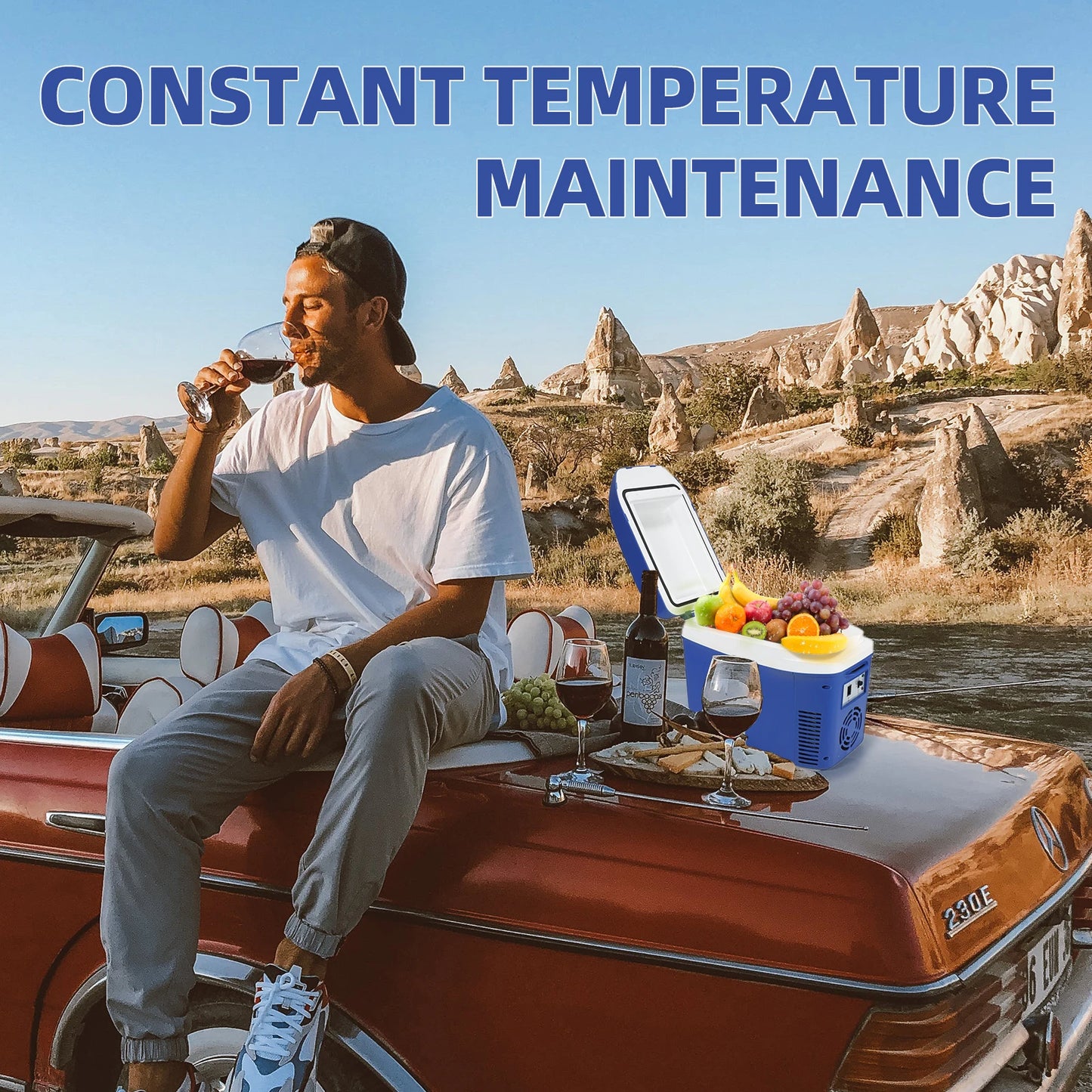 IceBlue Portable Mini Fridge Home Car Dual Use Cooler