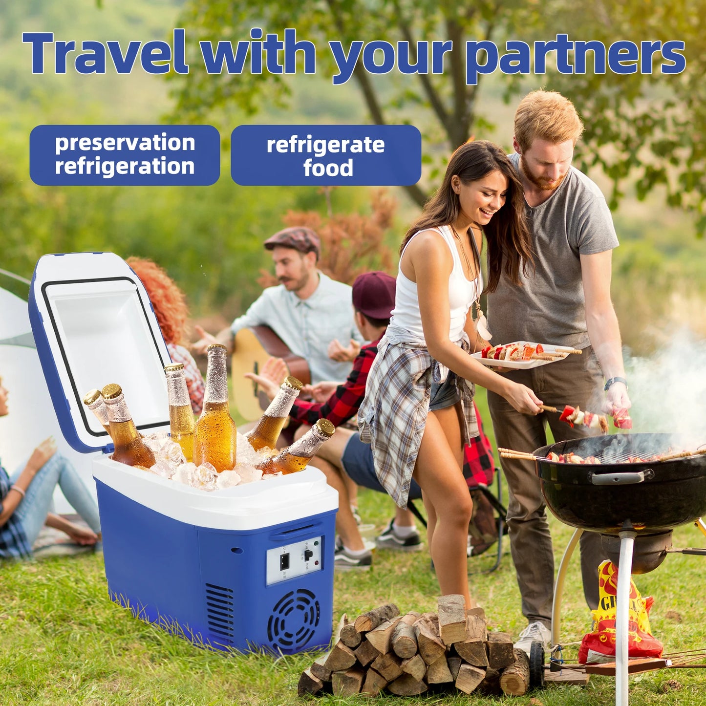 IceBlue Portable Mini Fridge Home Car Dual Use Cooler