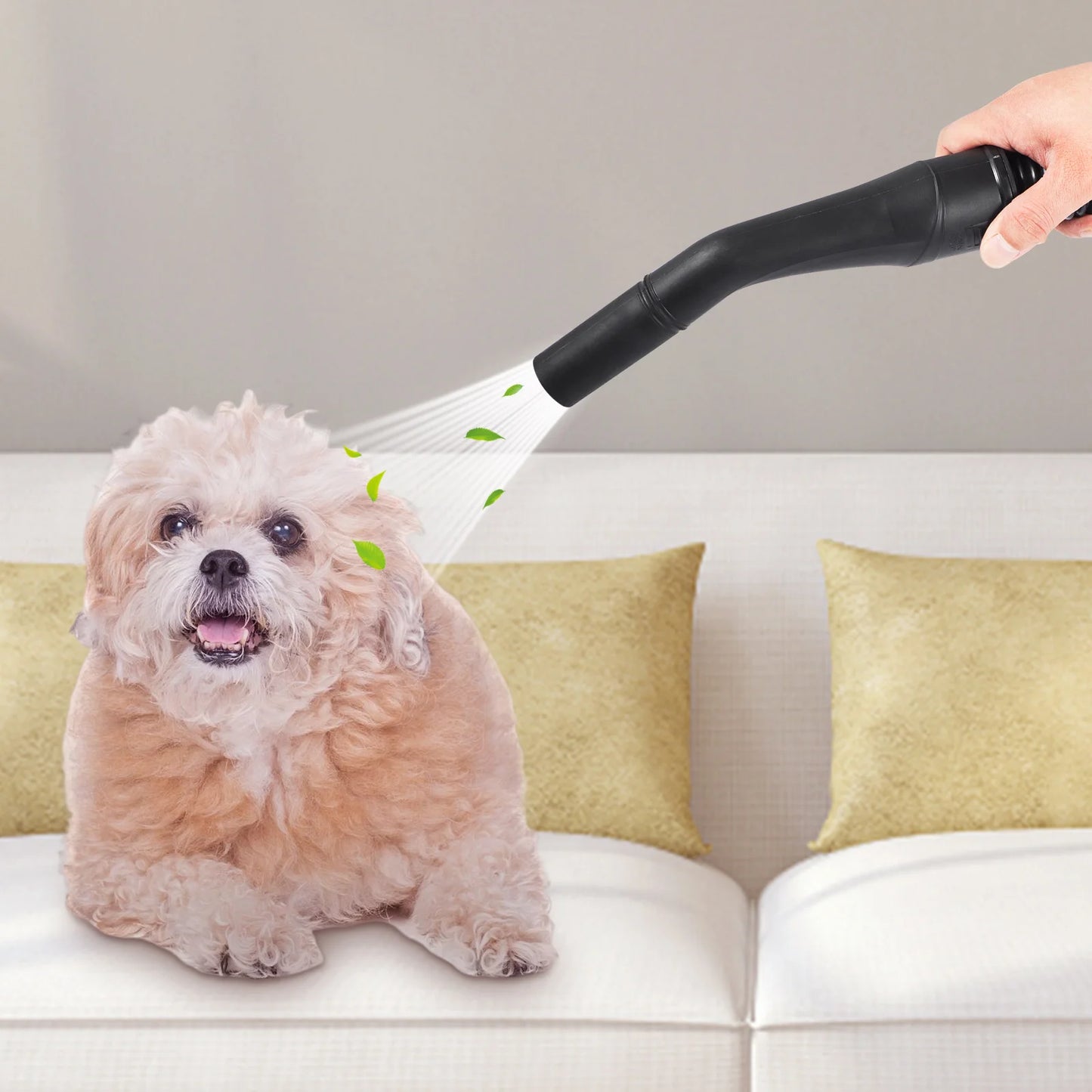 Succebuy Wet Dry Vacuum 3 In 1 Portable Blowing Function